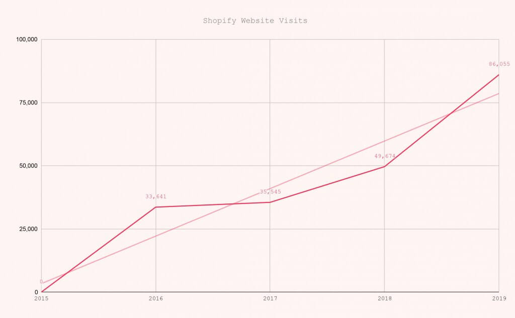 Seen Shopify Website Visits