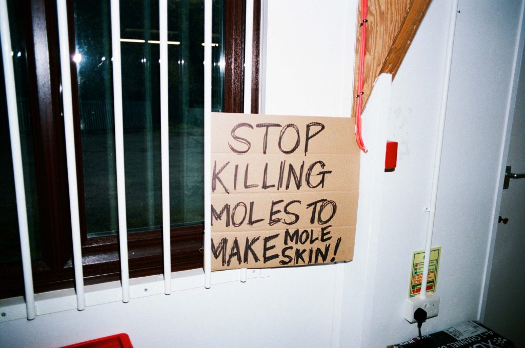 Stop Killing Moles to Make Mole Skin