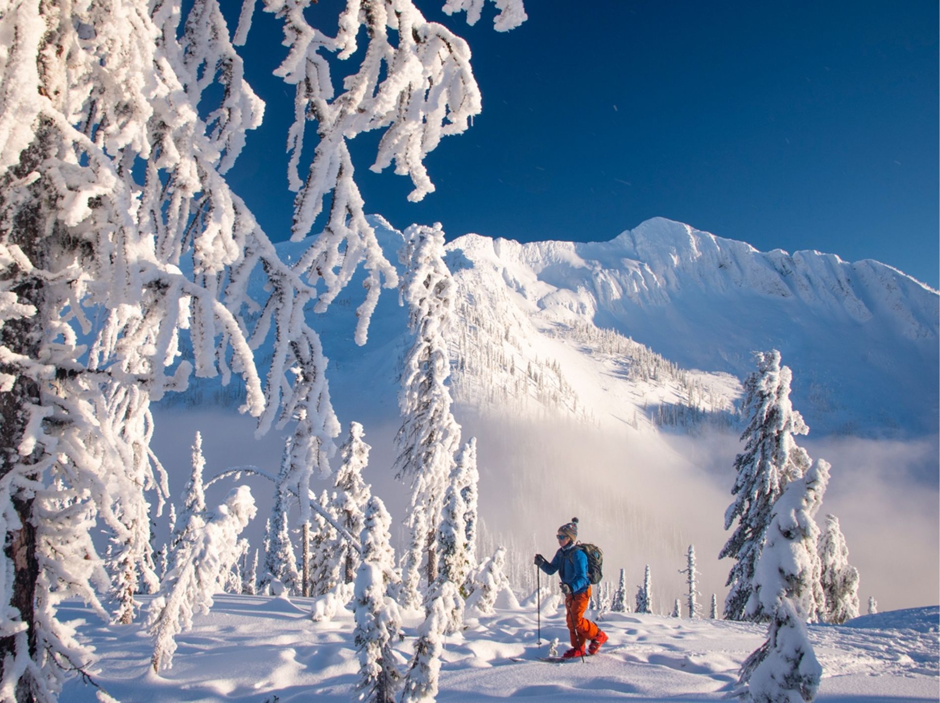 Campaign image from Patagonia featuring skier in snowy backdrop